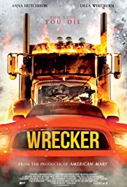 Driver from Hell 2016 Dub in Hindi full movie download
